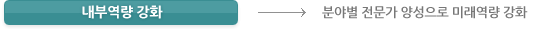 내부역량 강화 -> 분야별 전문가 양성으로 미래역량 강화
