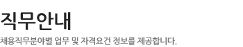 직무안내 - 채용직무분야별 업무 및 자격요건 정보를 제공합니다.